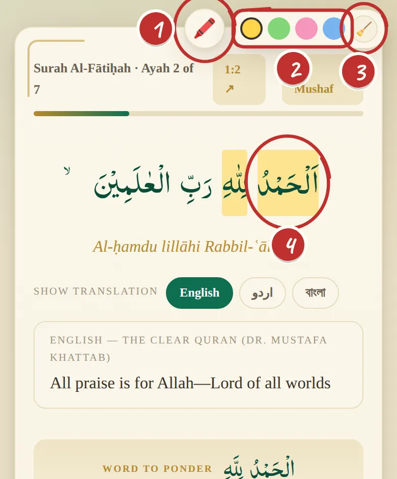 An ayah page with words of the Arabic highlighted, and the highlighter's four colours and eraser